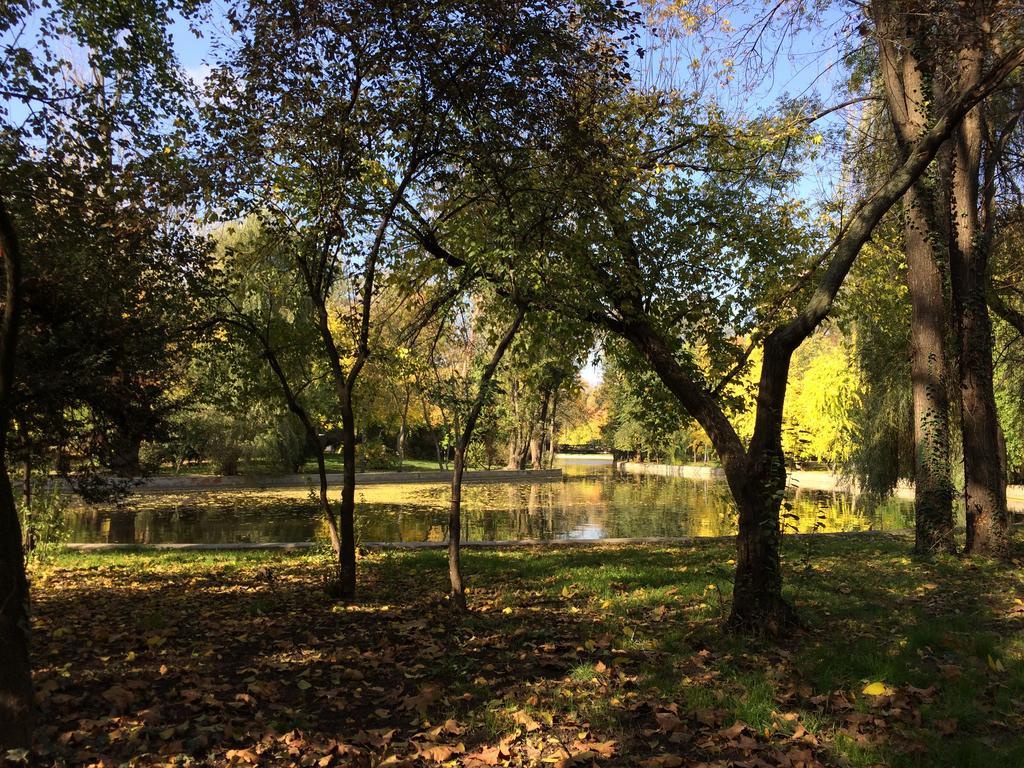 Apartament Cismigiu Garden Studio Bukareszt Zewnętrze zdjęcie